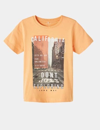 Shirt Tallo  13213127
