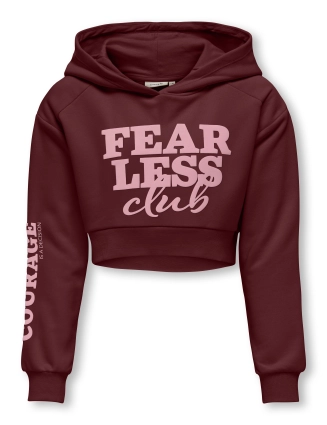 Hoodie Diana 15331171