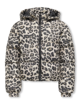 Winterjas Dalia 15354755 NOOS