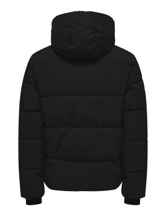 Winterjas Jelijah 22034688 NOOS