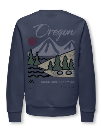 Sweater Ceres 22036523