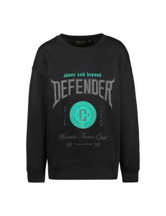 Sweater Defend 32365