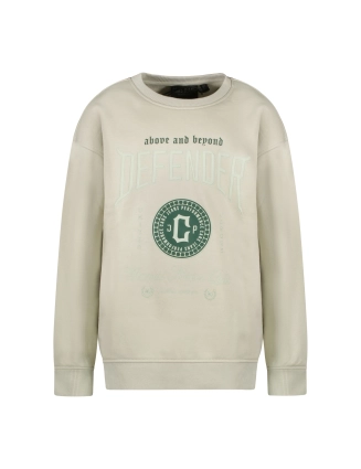 Sweater Defend 32365