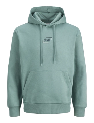 Hoodie Grapic 12268422