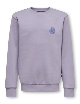 Sweater Ceres 22037729