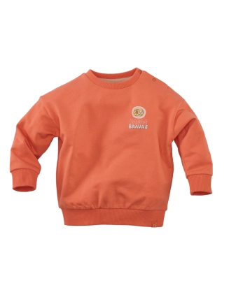 Sweatertje Dayn mini