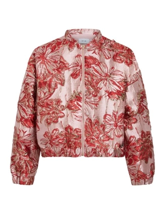 Jasje Sjacca 14113540