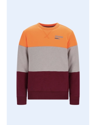 Sweater Scott X602-6312