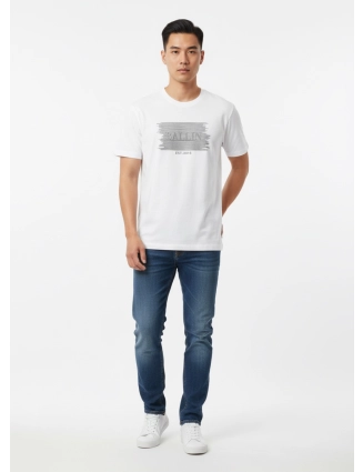 Shirt 2647
