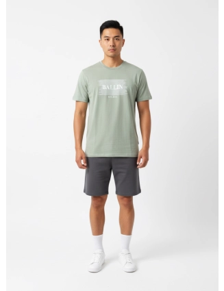 Shirt 2647