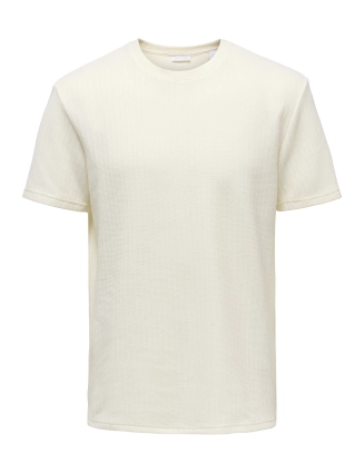 Shirt Trey 22037423