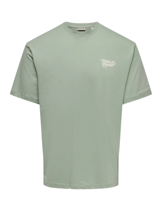 Shirt Chef 22038265
