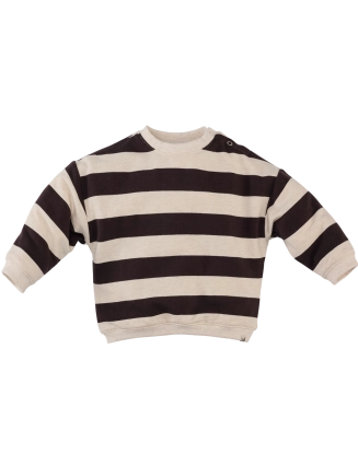 Sweatertje  Chester