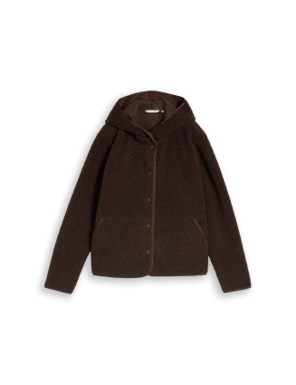 Teddy Jas 1053425