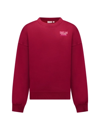 Hoodie Hearley 24597