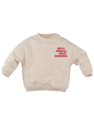 Sweatertje Beau